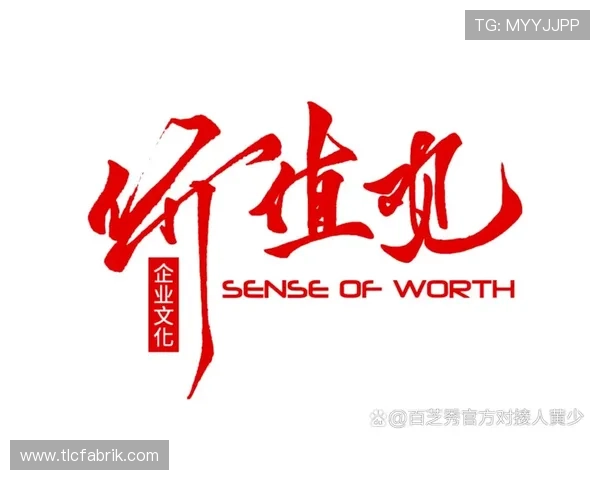 乐天娱乐标志的品牌文化体现，如何通过标志传递企业核心价值观