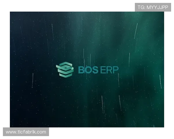 博世官方app下载安装指南，快速获取最新功能与安全保障