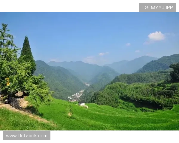 搏天堂官网发布网页详细指南，帮助用户快速了解平台注册与充值流程